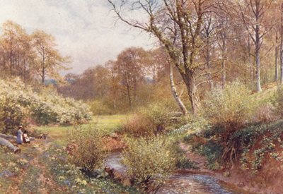 Em Spring Woods, Ockley (litografia a cores) de Harold Sutton Palmer