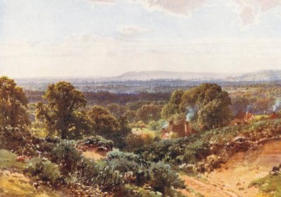 Sandhills, na direção de Blackdown (litografia a cores) de Harold Sutton Palmer