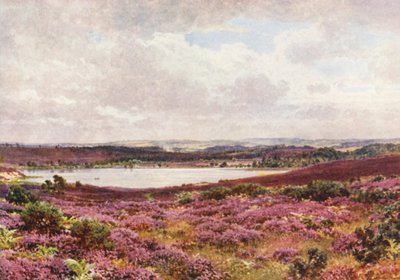 O Grande Lago, Frensham (litografia a cores) de Harold Sutton Palmer