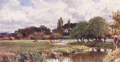 The Meads, Farnham (litografia a cores) de Harold Sutton Palmer