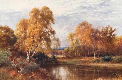 O Ano Minguante (litografia a cores) de Harold Sutton Palmer