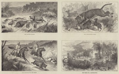 Índia e o Príncipe de Gales de Harrington Bird