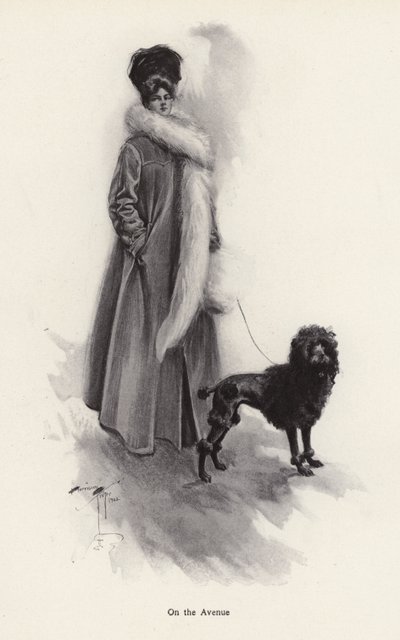 Mulher de casaco comprido com um poodle (litho) de Harrison Fisher