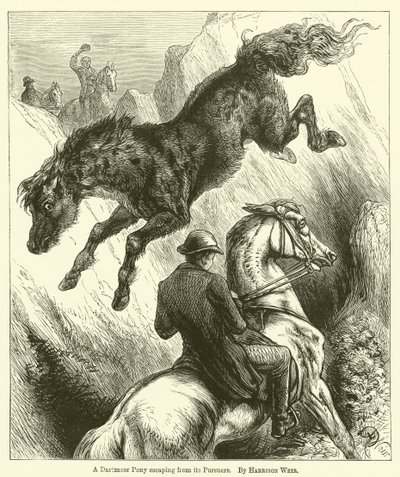 Um pônei Dartmoor escapando de seus perseguidores de Harrison William Weir
