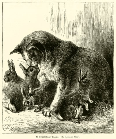 Uma família extraordinária de Harrison William Weir