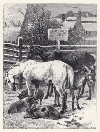Animais na Libra (gravura) de Harrison William Weir