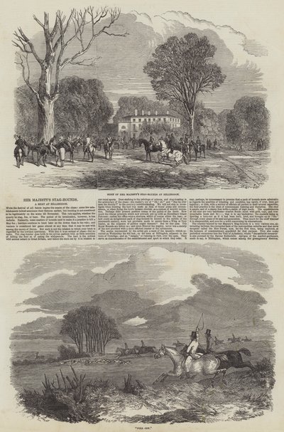 Os Cães de Veado de Sua Majestade em Hillingdon de Harrison William Weir