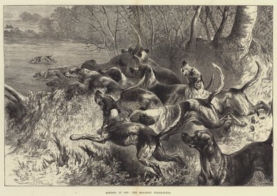 Acertando, o Mid-Kent Staghounds de Harrison William Weir