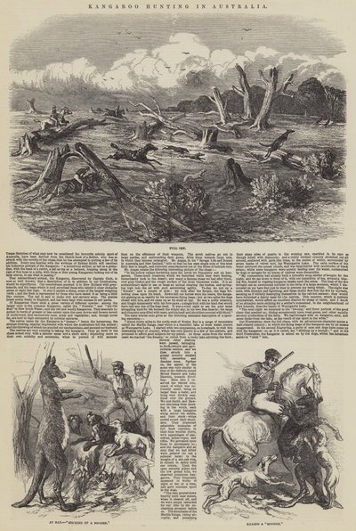 Canguru Caça na Austrália de Harrison William Weir