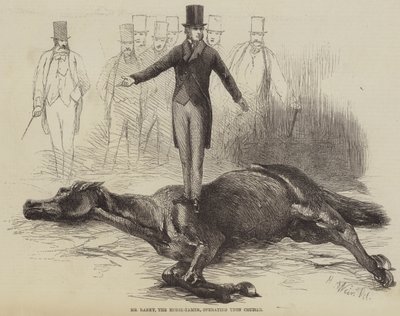 Sr. Rarey, o domador de cavalos, operando no Cruiser de Harrison William Weir