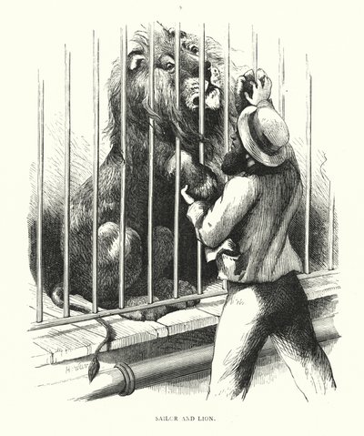 Marinheiro e leão (gravura) de Harrison William Weir