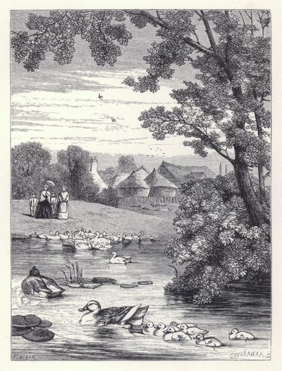 O Lago de Pato (gravura) de Harrison William Weir