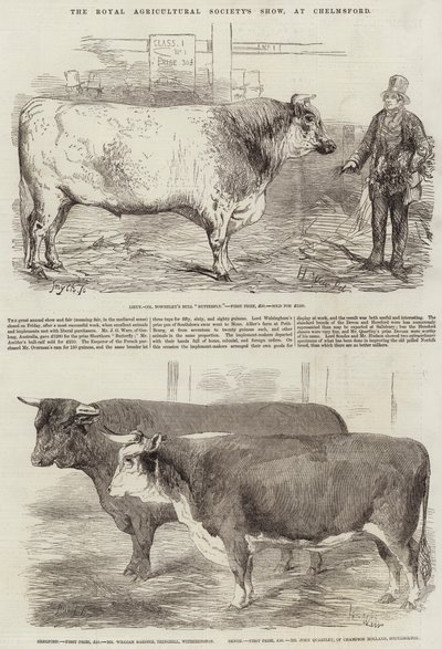 Show da Royal Agricultural Society, em Chelmsford de Harrison William Weir