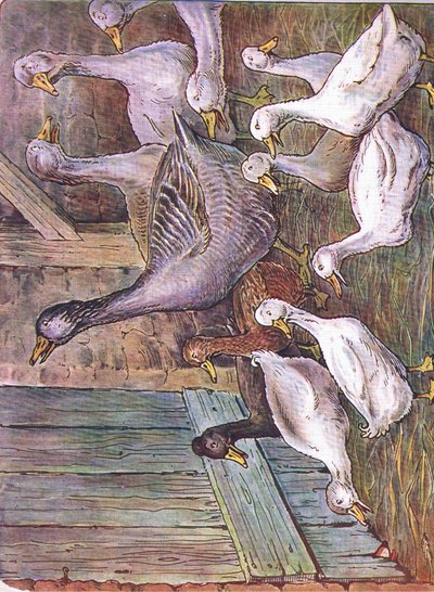 Por que eu declaro, 1920 de Harry B Neilson