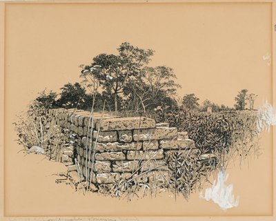 Cemitério Confederado de Esquina de Harry Fenn