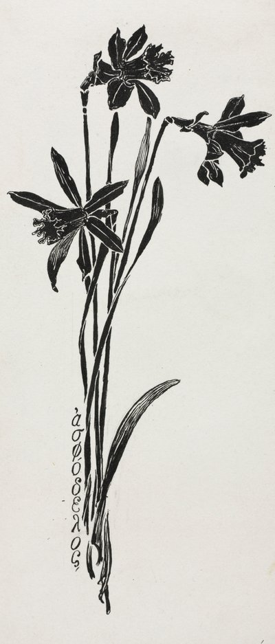 Narcisos. de Harry Fenn