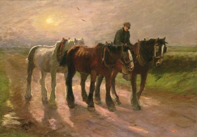 Homeward de Harry Fidler