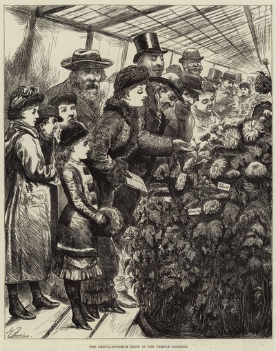 O Show de crisântemos nos jardins do templo de Harry Furniss