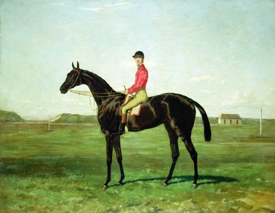 Um cavalo de corrida com um jóquei na pista de corridas de Newmarket (óleo sobre tela) de Harry Hall