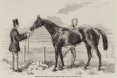 Gamester, o vencedor do St Leger de Harry Hall