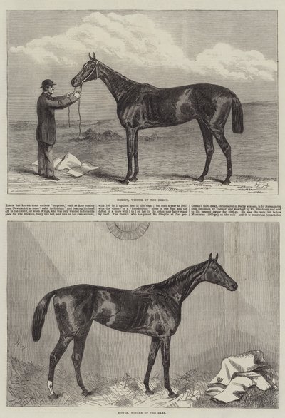 Cavalo de corrida de Harry Hall