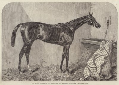 O duque, vencedor das Copas Goodwood e Brighton de Harry Hall