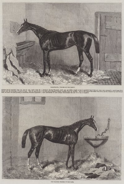 Vencedores do Derby e Oaks de Harry Hall