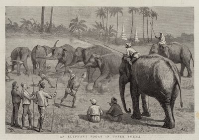 Um elefante Pooay na Alta Birmânia de Harry Hamilton Johnston