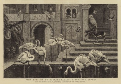 Os animais de estimação de um palácio oriental, um estudo da Tunísia de Harry Hamilton Johnston