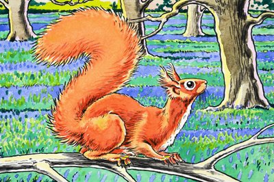 Esquilo vermelho de Harry M. Pettit