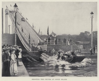 Tiroteio nos Chutes em Coney Island (litho) de Harry M. Pettit