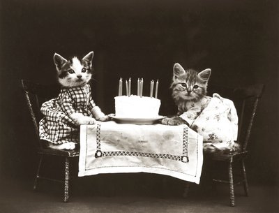 Série Kitties: Festa de Aniversário, c.1914 (impressão a prata) de Harry Whittier Frees