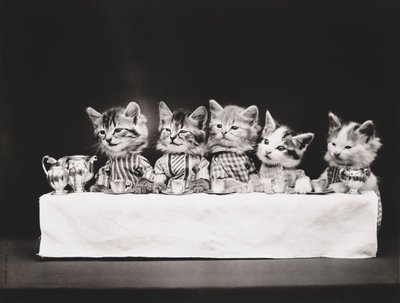 Série Kitties: Última Ceia, c.1914 (gravura em prata) de Harry Whittier Frees