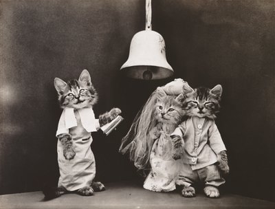 Série Kitties: Casamento, c.1914 (impressão em prata) de Harry Whittier Frees