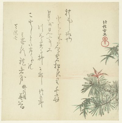 Pinheiros de Hasegawa Settan