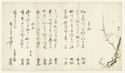 Ameixeira de Hasegawa Settan
