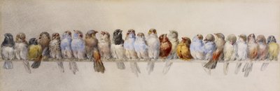 A Poleiro dos Pássaros, c.1880 (aquarela e grafite sobre papel) de Hector Giacomelli
