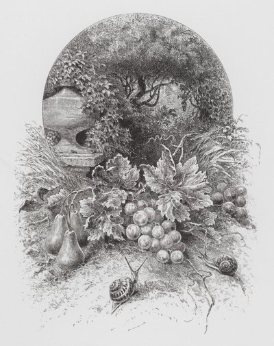 O Insecto: Caracóis (gravura) de Hector Giacomelli