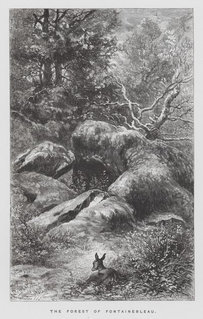 O inseto: A Floresta de Fontainebleau (gravura) de Hector Giacomelli