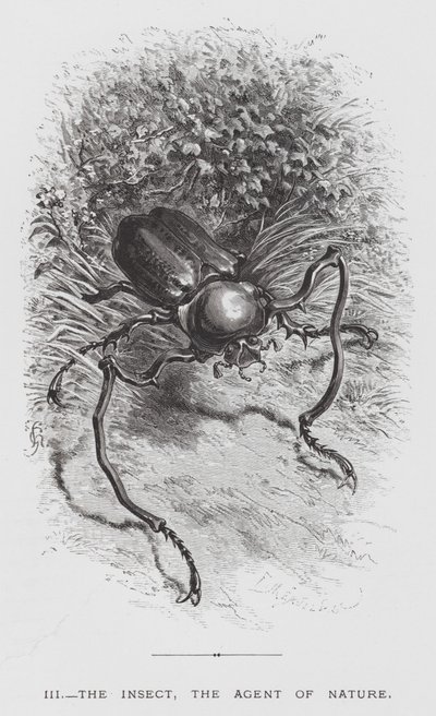 O Inseto: O Inseto, o Agente da Natureza (gravação) de Hector Giacomelli