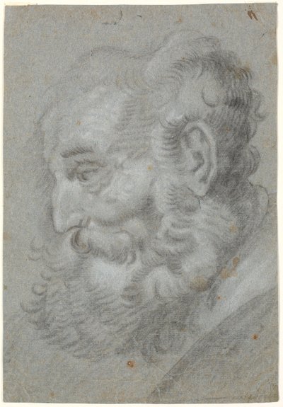Cabeça do velho, perfil à esquerda de Heinrich Dittmers