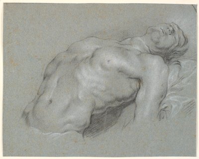 Torso do modelo masculino fortemente reclinado de Heinrich Dittmers