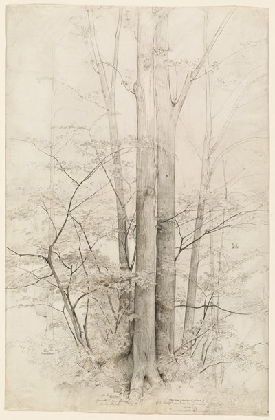 Um Posto de Árvores de Heinrich Dreber