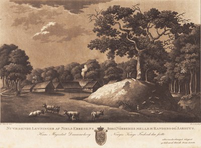 Restos atuais do castelo Nørreriis de Niels Ebbesen. E Storch parte. de Heinrich Grosch