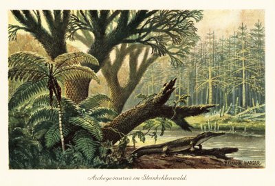 Archegosaurus decheni junto a um rio numa selva primordial. de Heinrich Harder