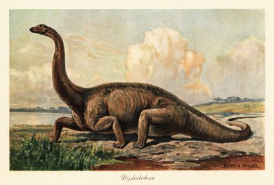 Extinto Diplodocus longus nas planícies. de Heinrich Harder