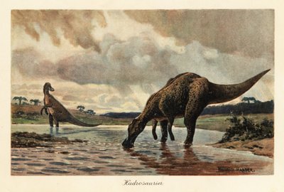 Hadrossauros ou dinossauros de bico de pato que se alimentam num rio. de Heinrich Harder