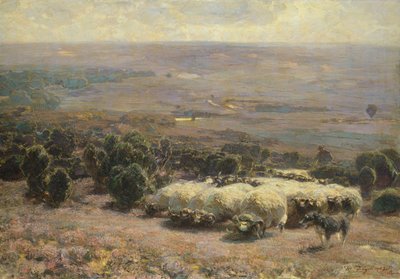 Um rebanho de ovelhas no Luneburger Heide, 1902 de Heinrich Johann von Zugel
