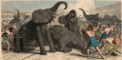 Roma antiga: elefantes são mortos no anfiteatro, 1866 de Heinrich Leutemann