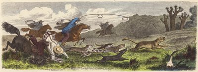 Caça ao puma com lassos no Brasil (gravura colorida) de Heinrich Leutemann